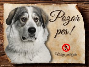 Cedulka Pyrenejský horský pes - Pozor pes zákaz/CP050