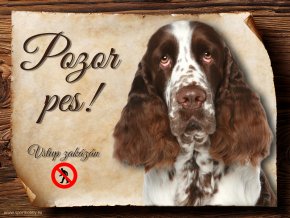 Cedulka Anglický špringršpaněl - Pozor pes zákaz/CP591