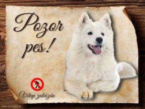 Cedulka Samojed - Pozor pes zákaz/CP159