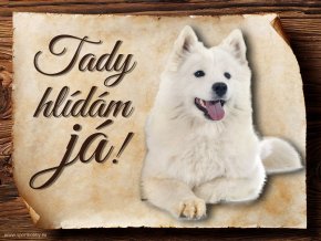 Cedulka Samojed - Tady hlídám já!/CP155