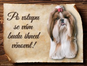 Cedulka Shih-tzu - Po vstupu .../CP566