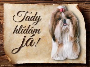 Cedulka Shih-tzu - Tady hlídám já/CP563