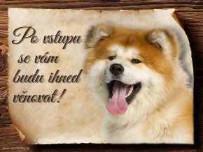 Cedulka Akita Inu - Po vstupu .../CP004