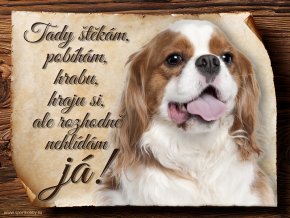 678 Cedulka Kavalír King Charles španěl