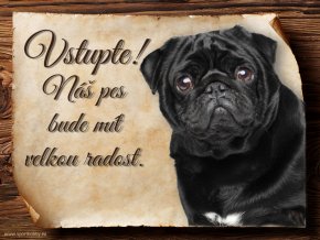 849 Cedulka Mops II
