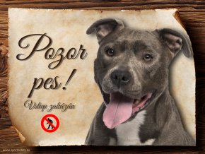793 Cedulka Americký pitbulterier