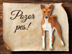 Cedulka Basenji - Pozor pes/CP114