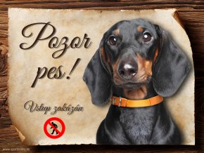 923 Cedulka Jezevčík černý