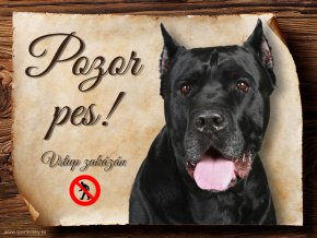 995 Cane corso