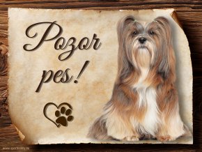 1033 Lhasa Apso