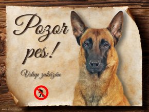 1067 Cedulka Belgický ovčák Malinois