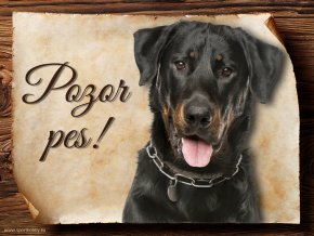 Cedulka Beauceron - Pozor pes/CP503