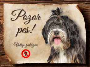 1239 Cedulka Tibetský teriér