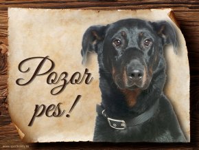 485 Cedulka Beauceron