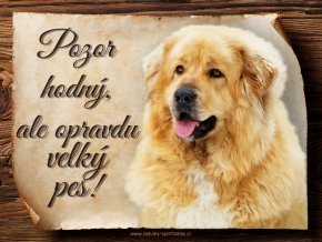 1369 Cedulka Tibetská doga