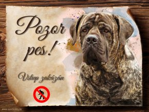 11177 Cedulka Boerboel