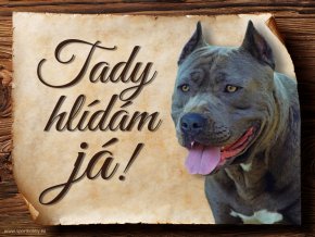 1390 Cedulka Americký stafordšírský teriér