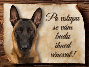 768 Cedulka Belgický ovčák Malinois