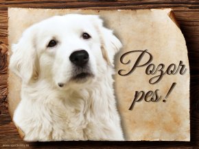 1458 Cedulka Slovenský čuvač