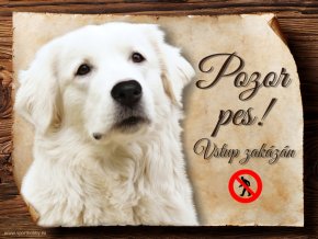 1461 Cedulka Slovenský čuvač