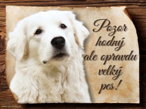 1463 Cedulka Slovenský čuvač