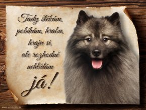 1449 Cedulka Německý špic vlčí
