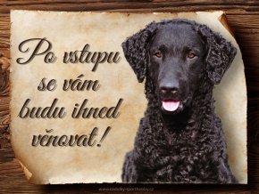 1662 Cedulka Curly coated retrívr