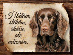 1738 Cedulka Boykin španěl