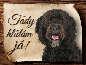 1678 Cedulka Francouzský vodní pes