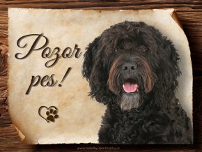 1679 Cedulka Francouzský vodní pes