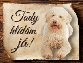 1708 Cedulka Italský vodní pes II