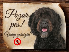 1682 Cedulka Francouzský vodní pes