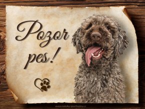 1703 Cedulka Italský vodní pes
