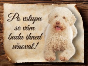 1711 Cedulka Italský vodní pes II
