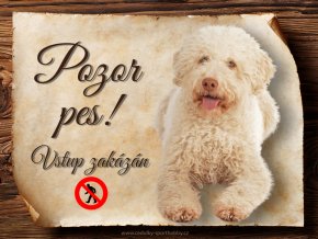 1712 Cedulka Italský vodní pes II