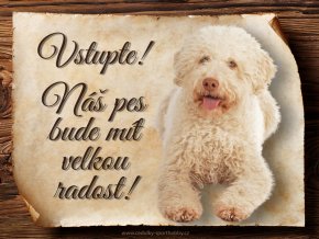 1713 Cedulka Italský vodní pes II