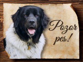 1741 Cedulka Český horský pes