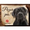 Cedulka Cane Corso - Pozor pes zákaz/CP020