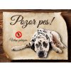 Cedulka Dalmatin - Pozor pes zákaz/CP025