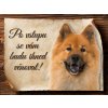 Cedulka Eurasier - Po vstupu .../CP548