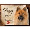 Cedulka Eurasier - Pozor pes zákaz/CP549