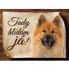 Cedulka Eurasier - Tady hlídám já/CP545