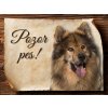 Cedulka Eurasier II - Pozor pes/CP552