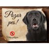 Cedulka Labradorský retrívr - Pozor pes zákaz/CP311