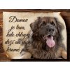 Cedulka Leonberger - Domov je tam .../CP654