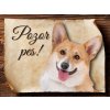 Cedulka Welsh Corgi Pembroke - Pozor pes/CP228