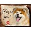 Cedulka Akita Inu - Pozor pes zákaz/CP005