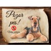 Cedulka Airedalský Terrier - Pozor pes zákaz/CP111