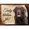 807 1 Cedulka Labradorský retrívr