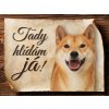 851 Cedulka Shiba Inu